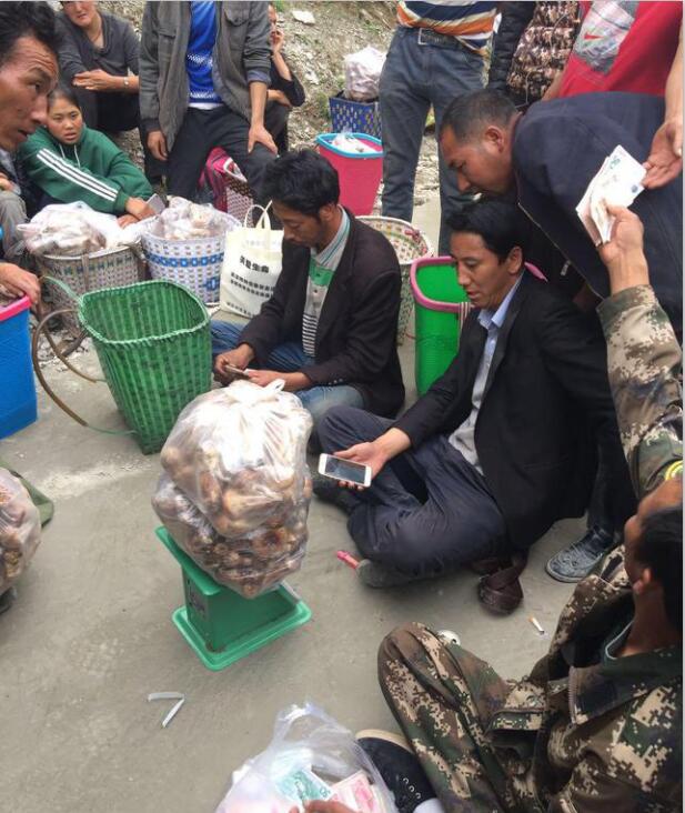 淘宝松茸,电商松茸