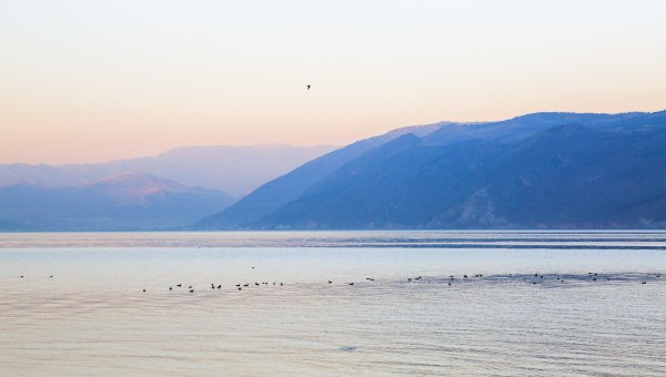 大理洱海是不是已经关闭,大理洱海客栈停业整顿