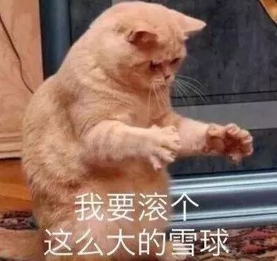 暴雪黄色预警有多大,内蒙马铃薯受冻影响行情吗