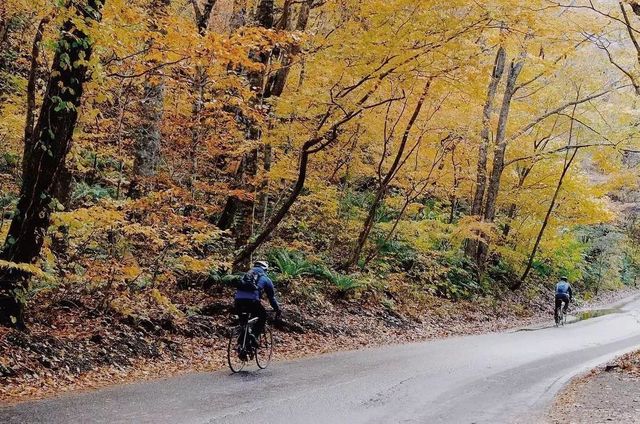 “女朋友和她的青蛙儿子跑了”去这些地方找和青蛙跑了的女朋友