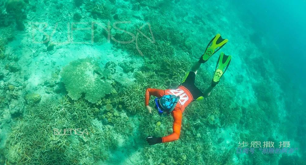 菲律宾好玩的特产,菲律宾什么便宜