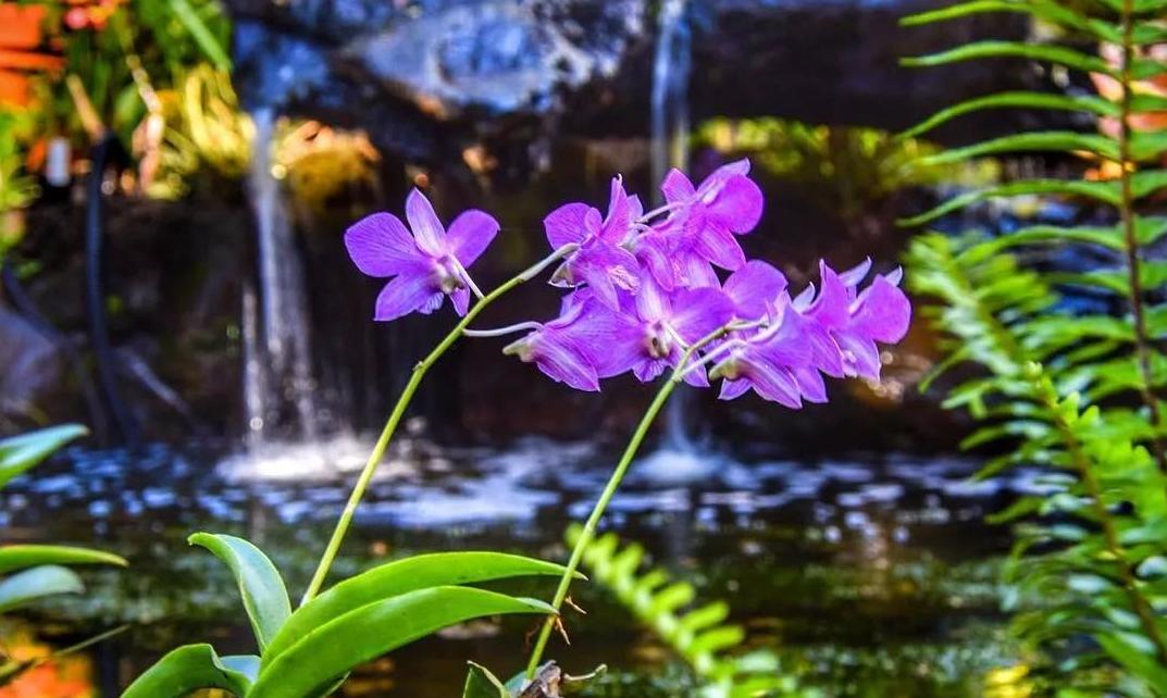 侏罗纪世界公园取景地,侏罗纪公园拍摄地点在哪里