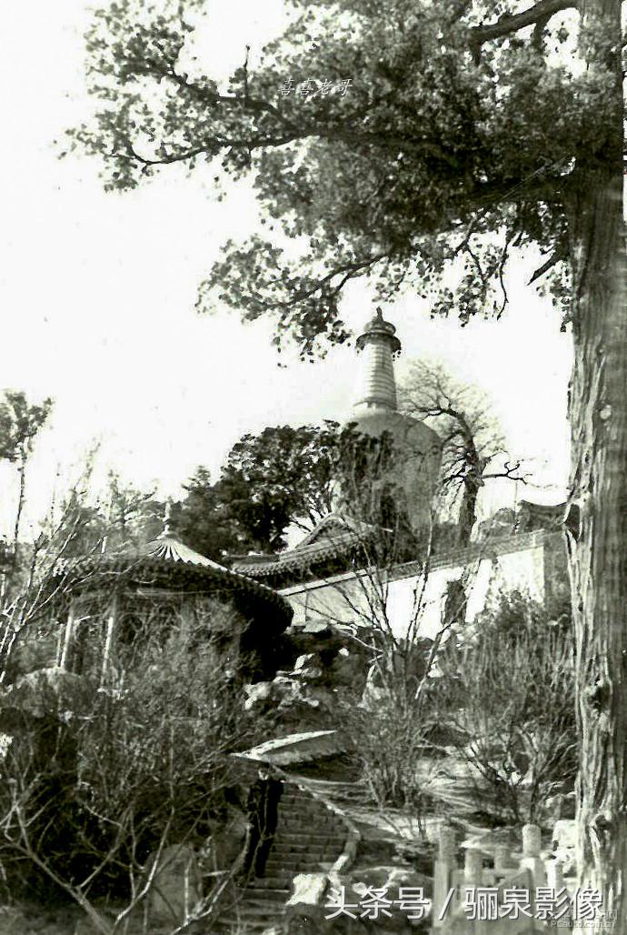 摄影爱好者必读摄影100个技巧,对摄影的好奇心和热爱还在吗