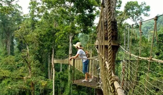 落地自驾云贵黄果树瀑布罗平油菜花元阳梯田西双版纳11日游
