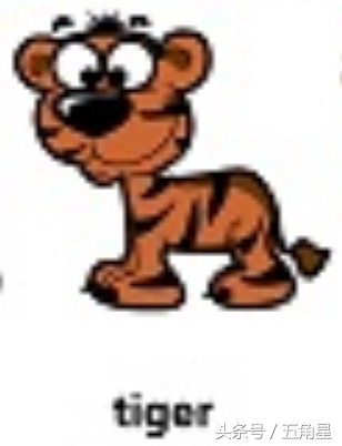 各种动物的英文单词视频,2-8岁儿童学动物英文单词