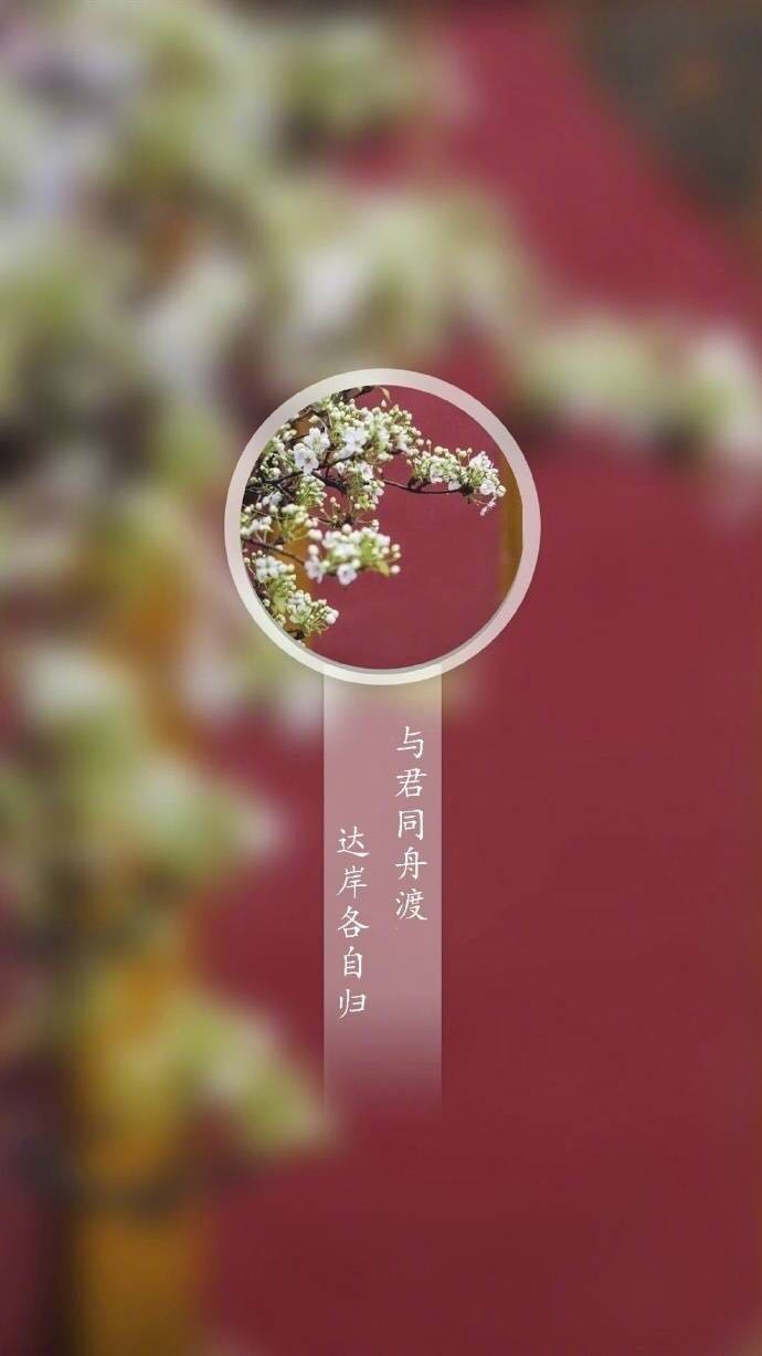 英汉暖心短句,微信英文短句