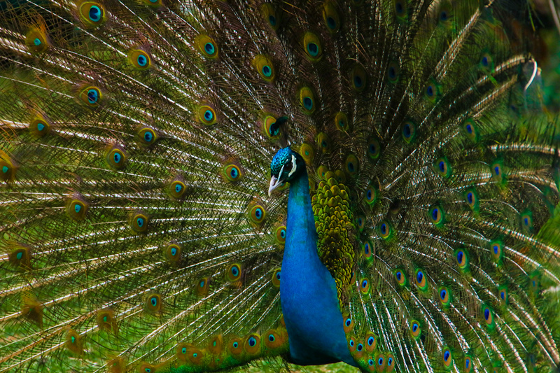 司徒小镇景区栖嬉园,山西司徒小镇栖嬉园