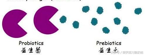 糖尿病能吃仁和益生菌吗,同仁堂益生菌对糖尿病有好处吗