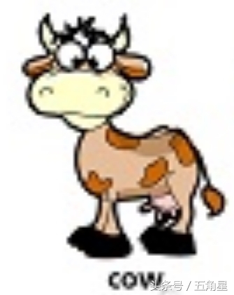 30个动物英语单词视频,动物的英语单词常见100个