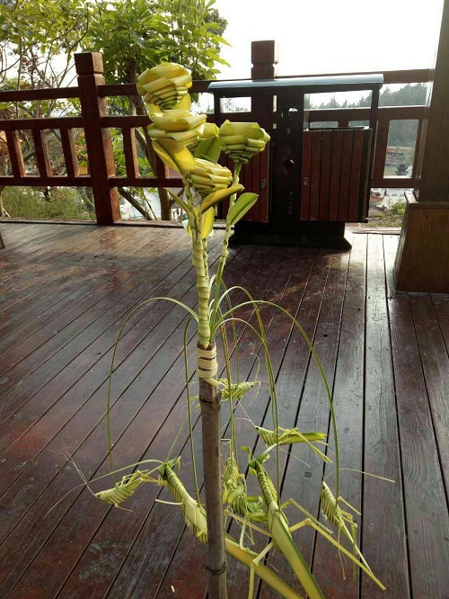 商机故事会,商机创业故事