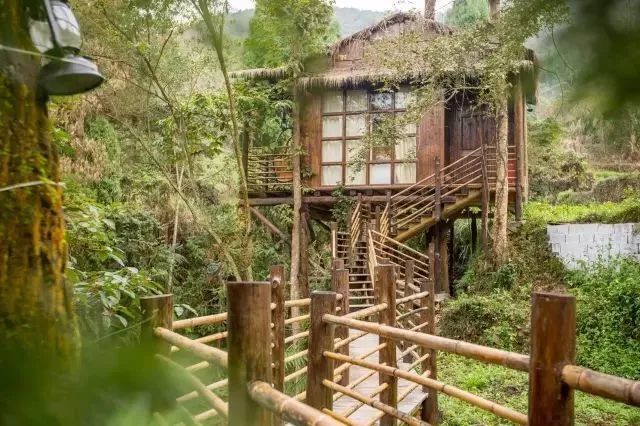 温州亲子民宿最新排行榜,温州民宿50-100一晚