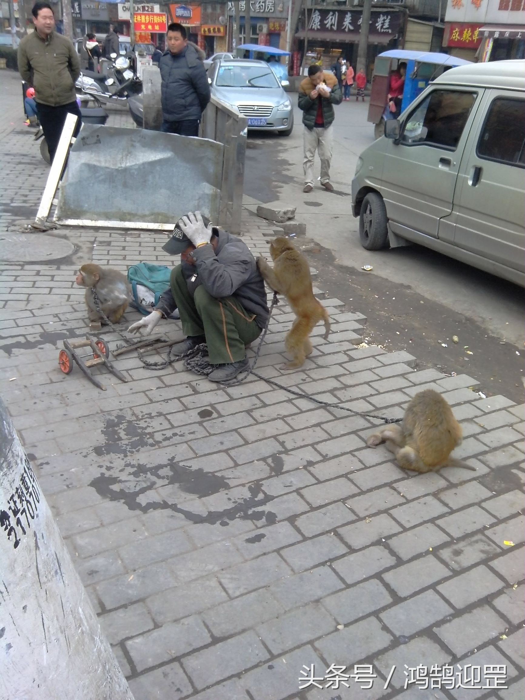 “猴戏”即将退出生活舞台,带走了我们的乐趣和记忆