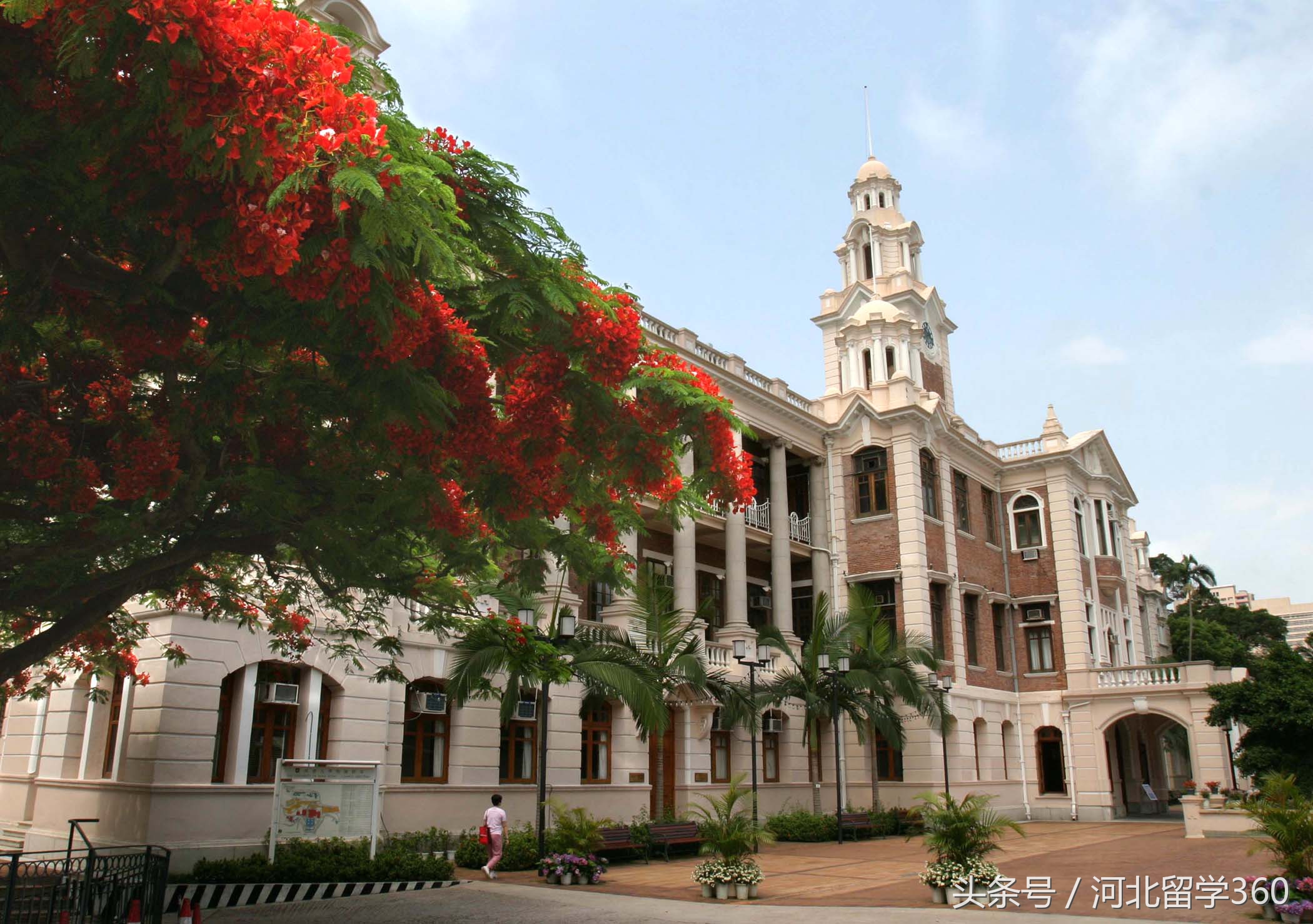 香港留学中介费用一览表,香港艺术生留学申请费用