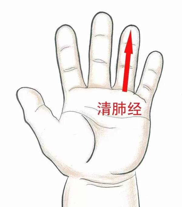 小儿常见疾病推拿穴位第九讲,小儿推拿补肺经清肺经