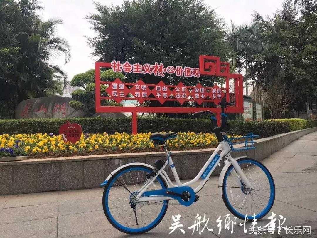 长乐共享单车投放点在哪里,长乐区的共享单车去哪了