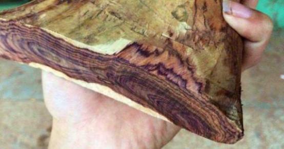 顶级家装木材排名前十强,名贵的家装木材品牌推荐