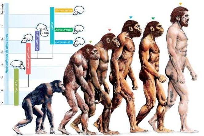 早产计算公式,早产两个月计算公式