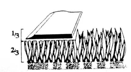 优质人造草坪维护,济宁人造草坪维护