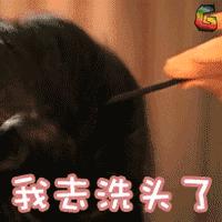 头发干枯没营养是气血不足吗,洗发水洗完头发干枯毛糙是缺什么