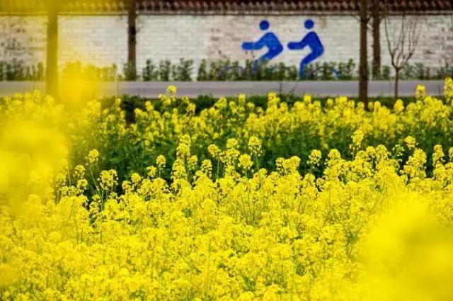 牛爆了原版视频,牛爆了