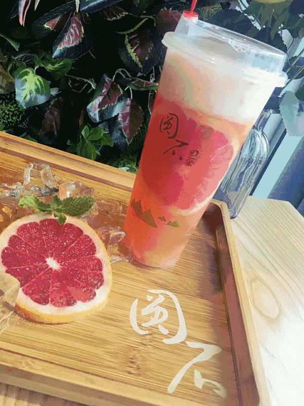 粉色青蛙的正确养法,养青蛙的技巧和方法