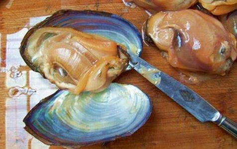 农村河里的这些小野味，你吃过吗？个个是绝品，超好吃！