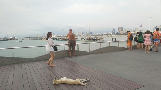 在泰国和泰国人对话,在泰国旅游怎么沟通