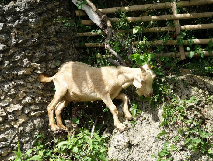 长滩之旅分享篇,长滩旅游行程