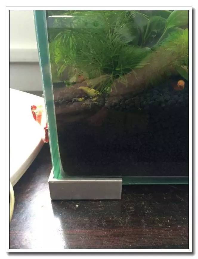 新手入坑的一点感悟,社区演讲精华篇