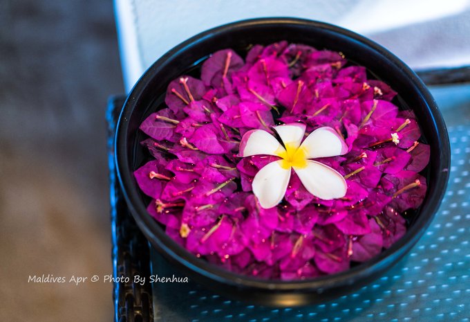 马尔代夫蓝色美人蕉旅游攻略,马尔代夫蓝色美人蕉岛攻略