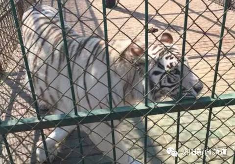 五一沈阳亲子游推荐 (2022年沈阳五一户外好玩的地方)