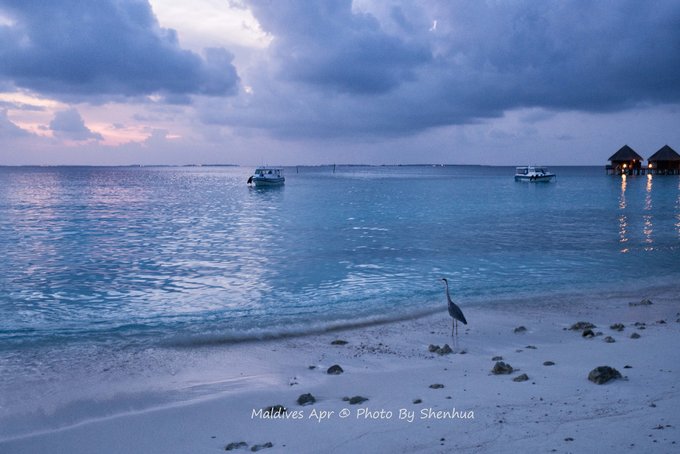 马尔代夫蓝色美人蕉旅游攻略,马尔代夫蓝色美人蕉岛攻略