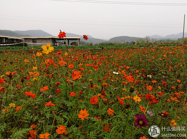 htcone和a9,htconea9和a9w