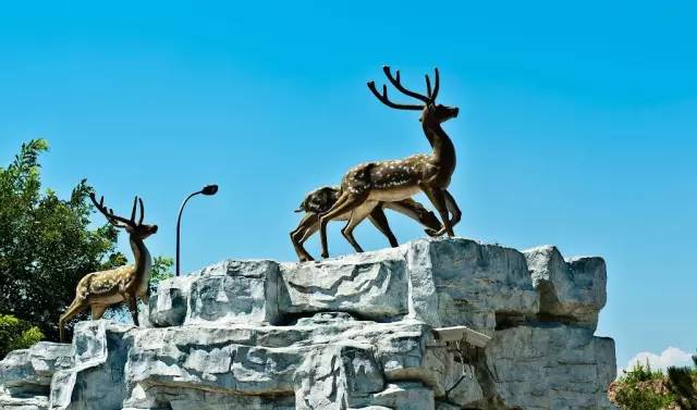 一家四口亲子游酒店推荐儿童房,京郊游景区住宿推荐最新