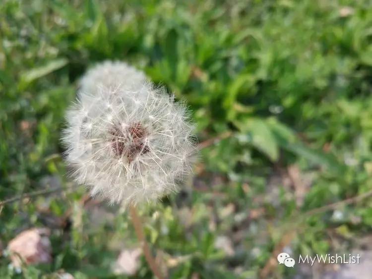 行云流水般的畅快vivoX6SPlus体验