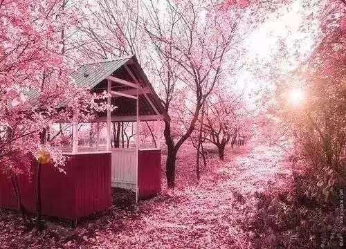 玉泉路的故事继续讲考研总分第一名落榜