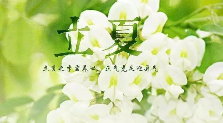 却是石榴知立夏的翻译,却是石榴知立夏年年花开什么意思