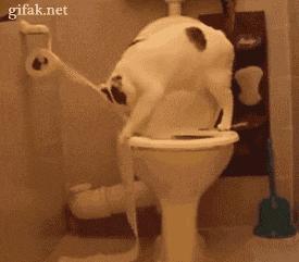 见识下真正的无敌女汉子*飞机打**！