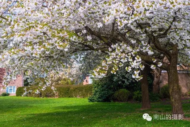 城市足球四重奏--英伦游记Vol.04