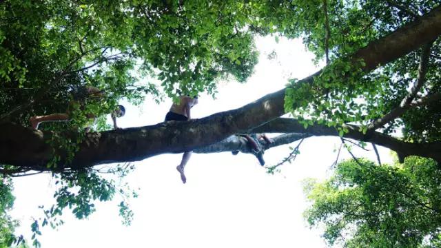 南宁十大游泳景区排名,南宁龙门水都景区游泳池