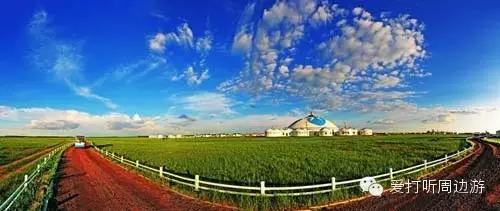 张北中都草原一日游,张北草原旅游越野