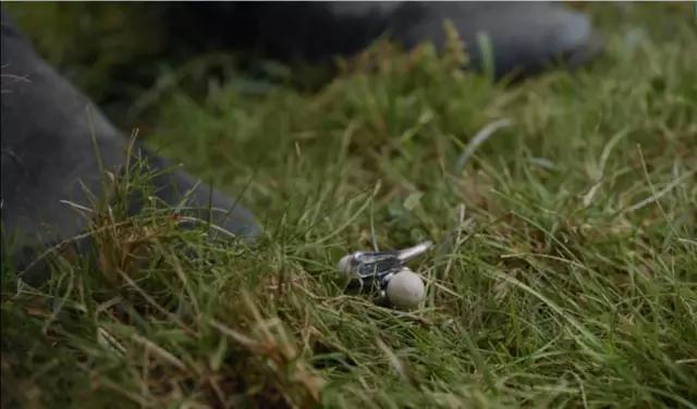 低调又奢华,那些耀于指尖上的时尚魔戒|MAGIC