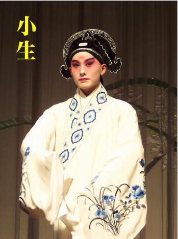 传统文化之戏曲秦腔,传统文化之戏曲进校园100字的感受