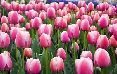 不要听说郴州怎样，进来听听郴州怎么说。