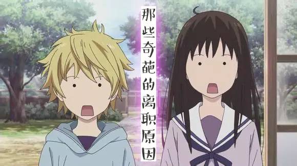 那些离职的奇葩理由,这些稀奇古怪的离职理由