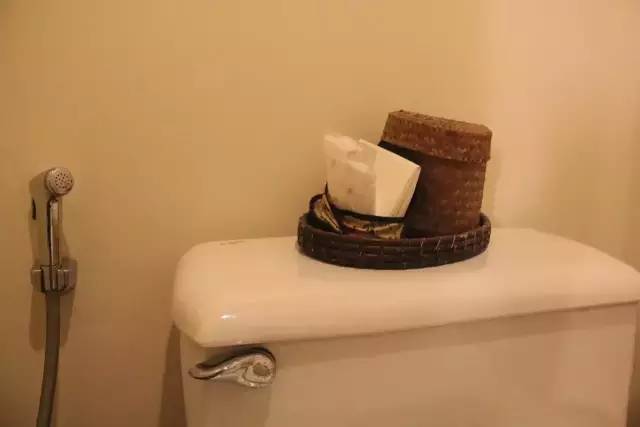 悦榕庄banyantree酒店,新加坡民丹岛酒店攻略