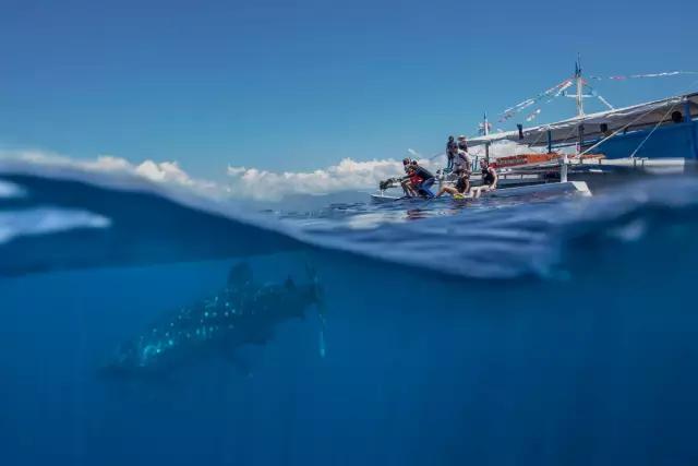 这才是菲律宾的真面目，一顾迷人眼，再顾享入“菲菲”