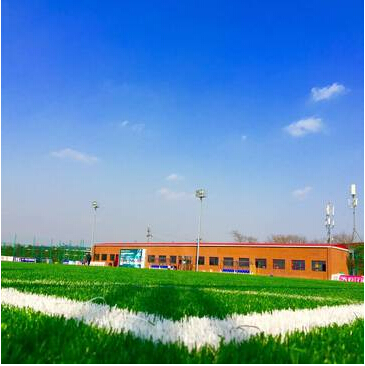 澶ц繛閾惰澶ц繛瓒崇悆,澶ц繛閾惰鎴愰兘