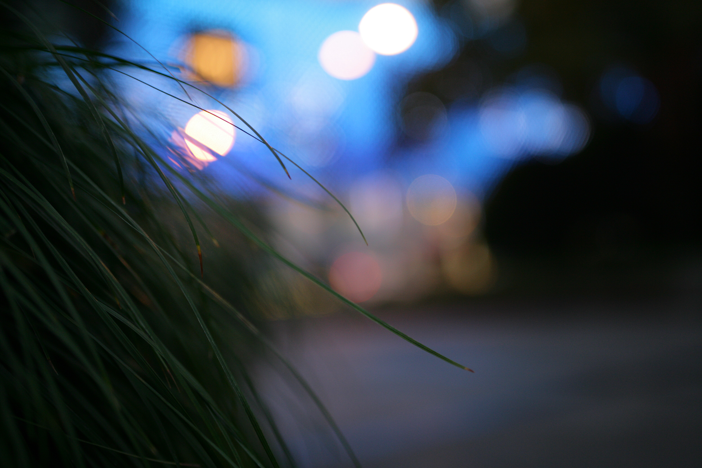 腾龙将要出的新镜头会是什么规格 (腾龙新旧镜头对比)