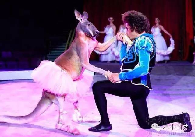 为什么要带孩子看音乐演奏会,带孩子看儿童剧买几张票